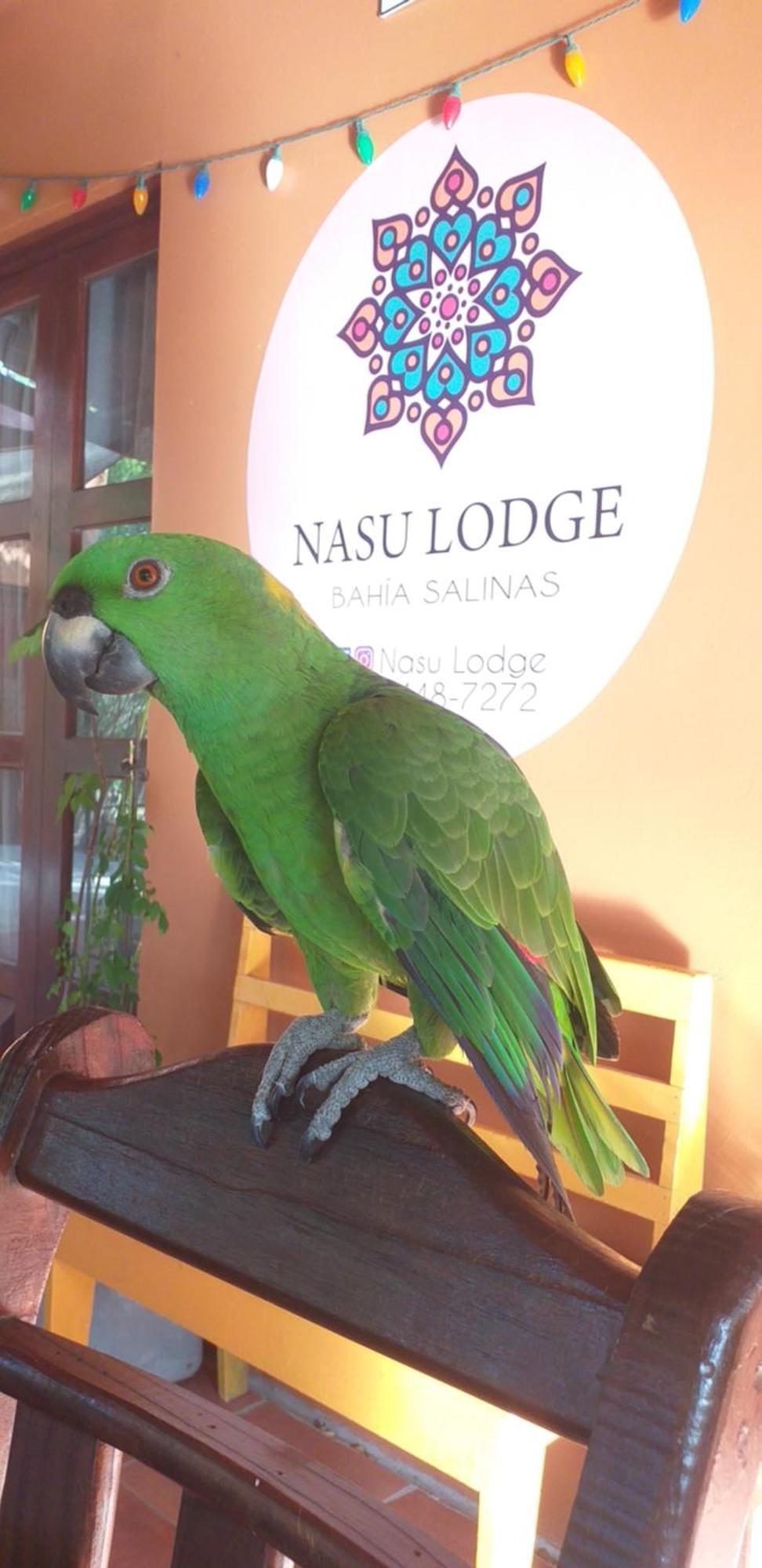 Nasu Lodge 라 크루스 외부 사진